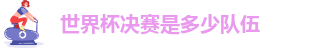 世界杯决赛是多少队伍